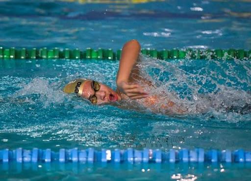 Natation : Lancement de la 8e édition du Championnat Open des Maîtres