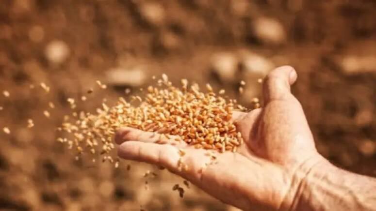وزير الفلاحة يوصى بتوفير الكميات اللازمة من اصناف البذور واعطاء الاولوية لمواقع انتاج الحبوب