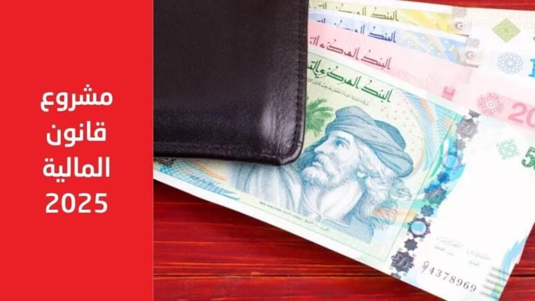 الخبير المحاسب أنيس بن عبدالله:  مشروع قانون المالية 2025، رفّع في الضغط الجبائي.. video