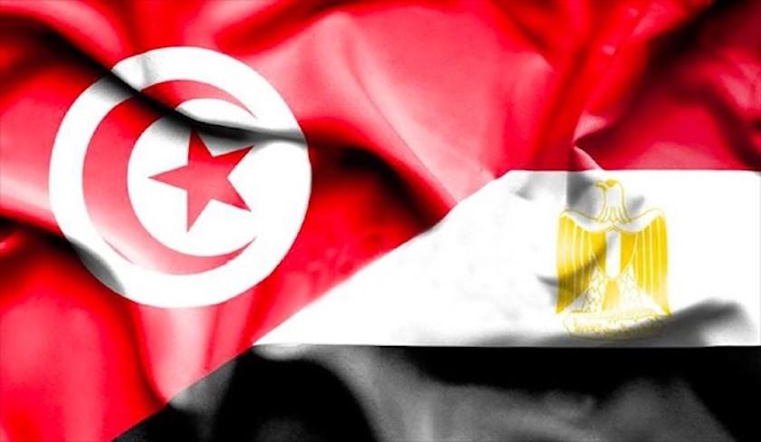 Le ministre égyptien des Affaires étrangères en visite de travail en Tunisie les 18 et 19 avril 2025