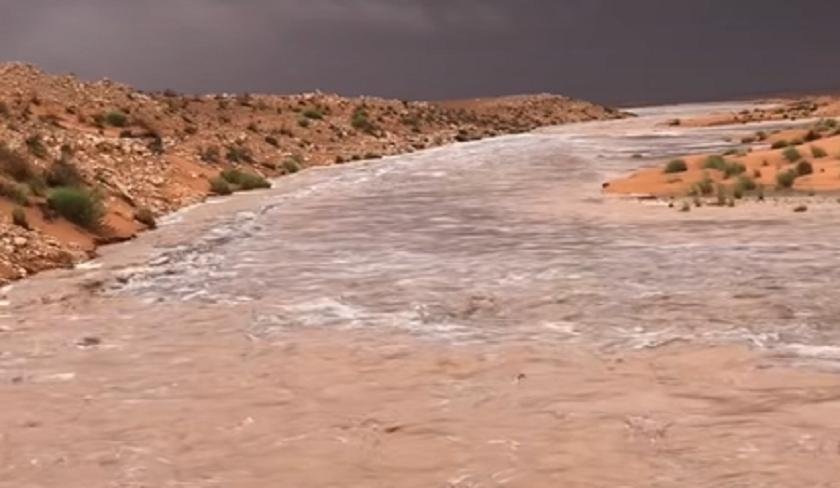 Vidéo ' L'eau qui coule au Sahara émerveille les internautes