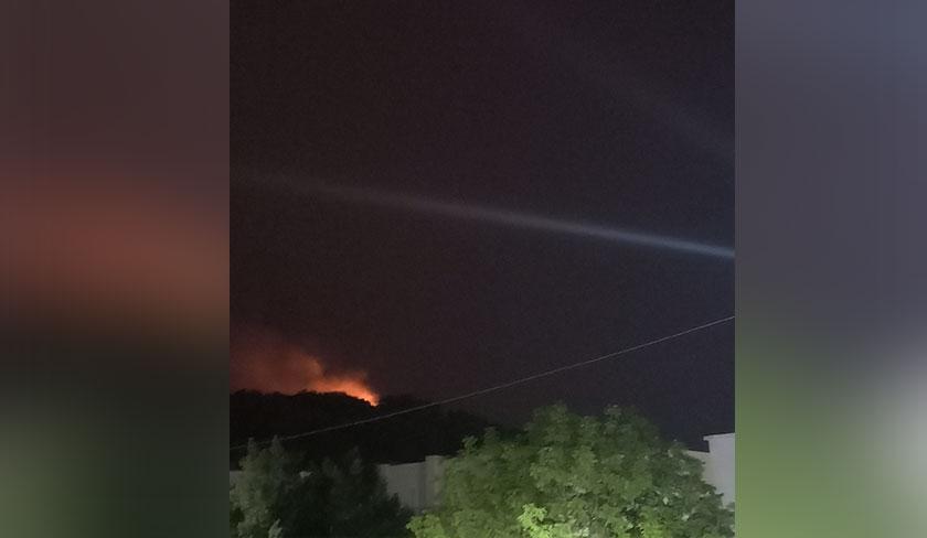 Moez Triâa : une soirée alcoolisée derrière l'incendie du parc Ennahli