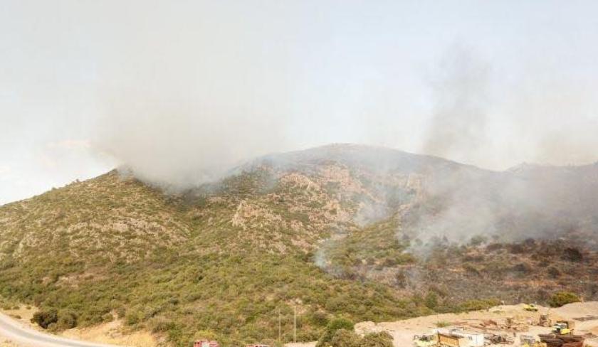 Protection civile : l'incendie de la forêt de Aïn Boussadia a été maîtrisé