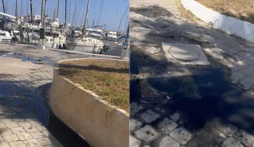 Monastir : eaux polluées dans le bassin de la Marina