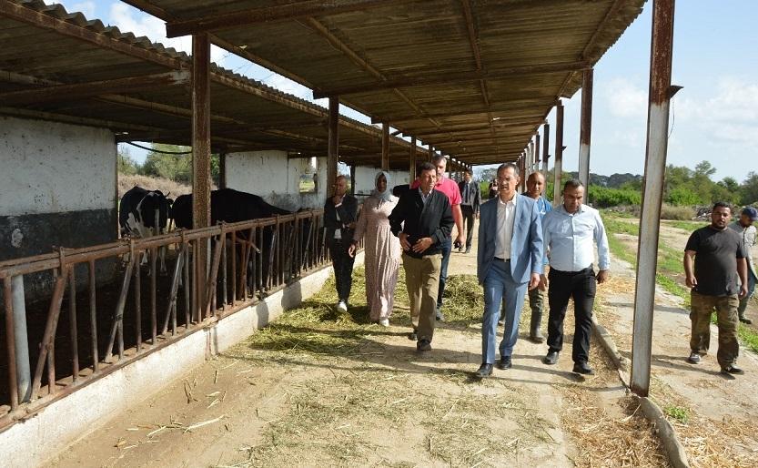 Ezzedine Ben Cheikh effectue une visite inopinée au complexe agricole d'Enfidha