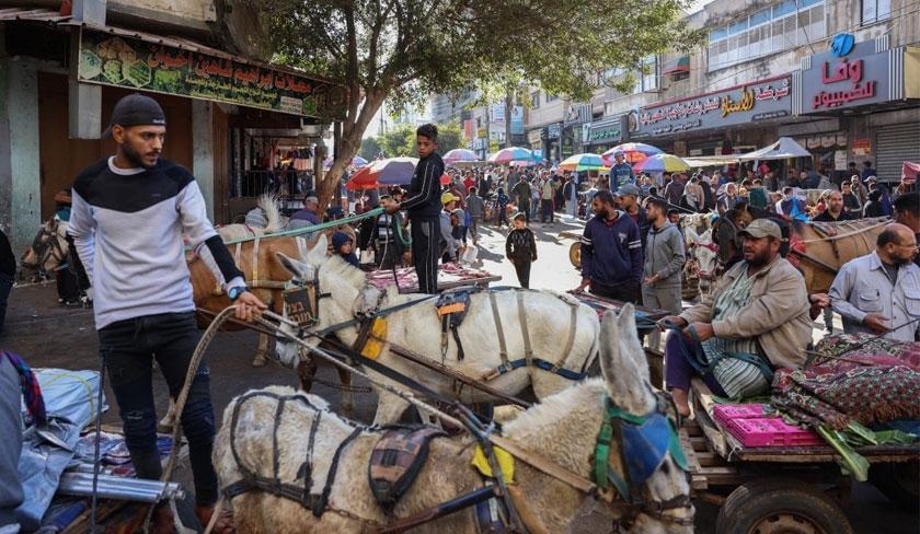 Reportage : les ânes de Gaza à la rescousse des habitants