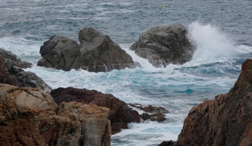 Disparition d'un étudiant à Monastir : le cadavre retrouvé