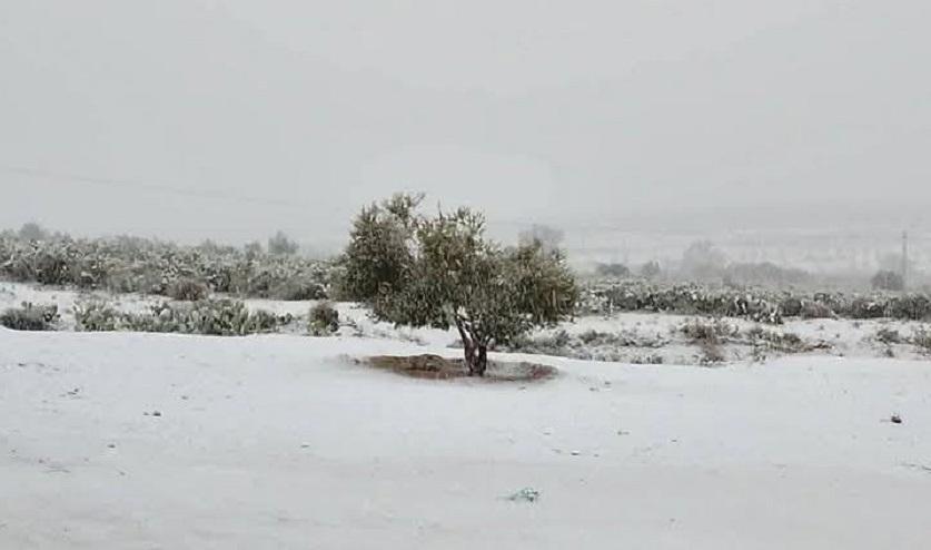 En photos : la neige est au rendez-vous !