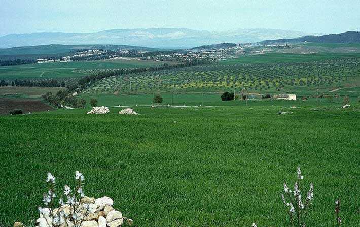 Récupération de près de 99.000 hectares de terrains agricoles domaniaux depuis 2011