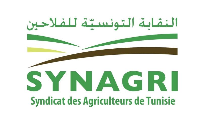 Syndicat des agriculteurs : à cause de la sécheresse, baisse attendue de la production de céréales