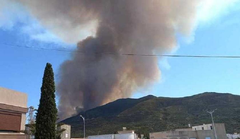 Bizerte : incendie au mont de Sidi Ali El Mekki