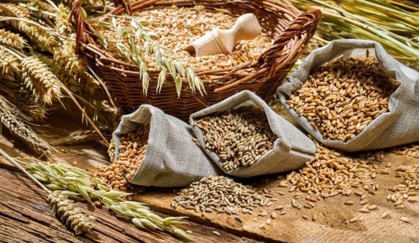 Récolte 2025 : le ministère de l'Agriculture fixe les prix de collecte des céréales