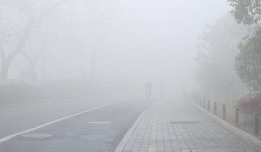 Tunisie - Alerte Météo : brouillard épais dans plusieurs régions