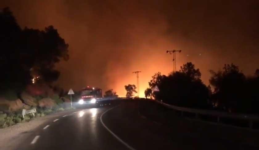 Samir Kouka : le feu de la forêt de Melloula sera maîtrisé dans les prochaines heures