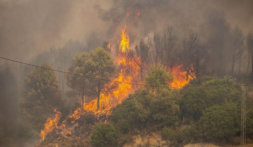 Siliana : un incendie se déclare à Djebel Bellouta