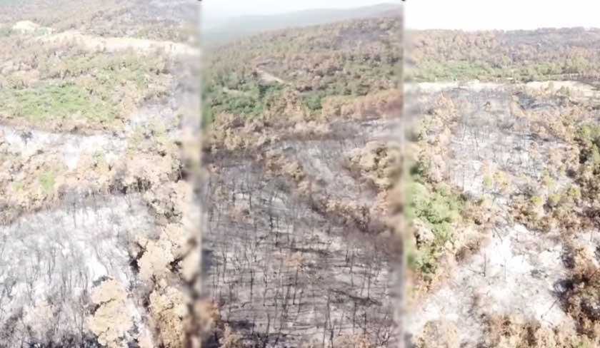 Samir Kouka : l'incendie de Melloula a été maîtrisé