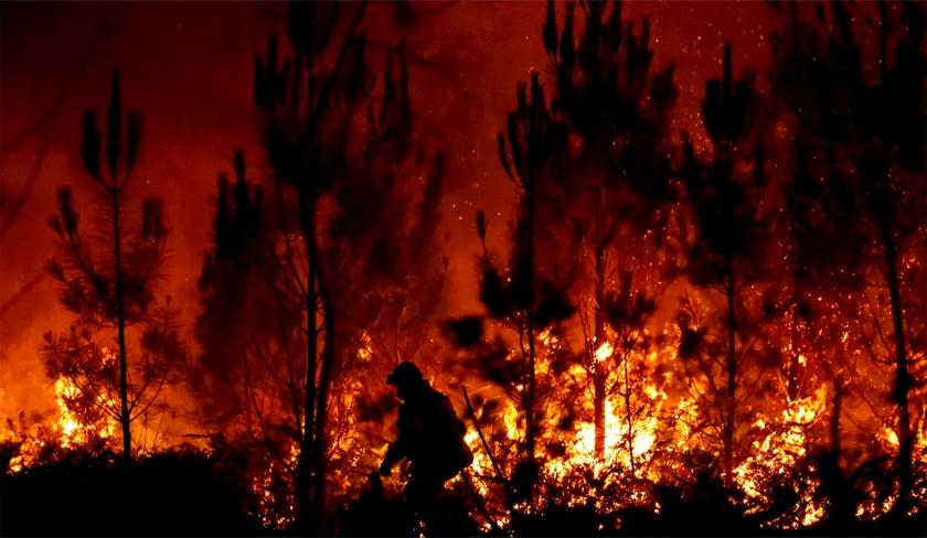 Maîtrise d'un important incendie forestier dans la délégation de Bizerte Sud