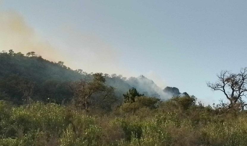 Un nouvel incendie déclaré à Tabarka