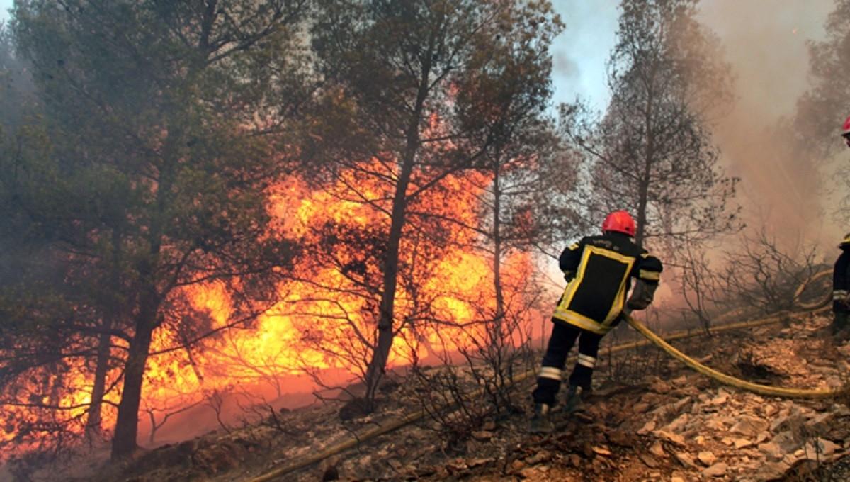 Incendie dans la forêt de pins de Oued El Kebir à Nabeul