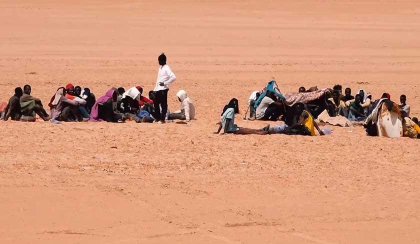 Grimaldi : 1.200 personnes ont été expulsées de la Tunisie vers les frontières algériennes et libyennes