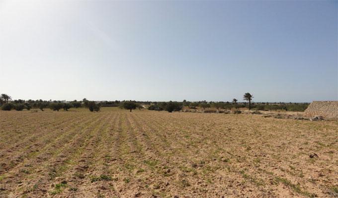 Djerba: Récupération de deux terres domaniales agricoles