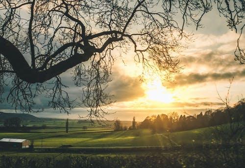 Météo de ce lundi 7 août 2023