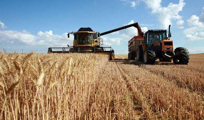 Hausse des températures et risques d’incendies: Les agriculteurs de Jendouba appelés à la prudence