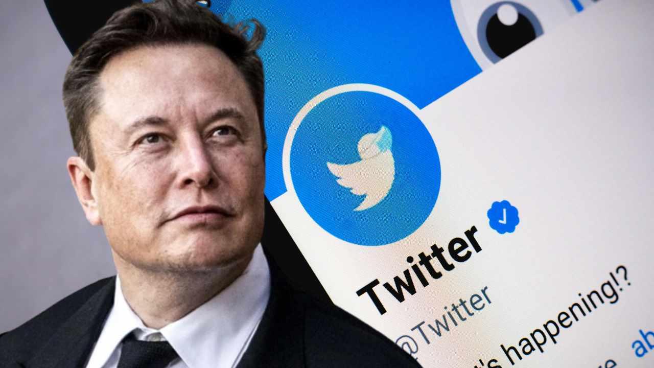 Elon Musk change le logo de Twitter : fin du célèbre oiseau bleu !