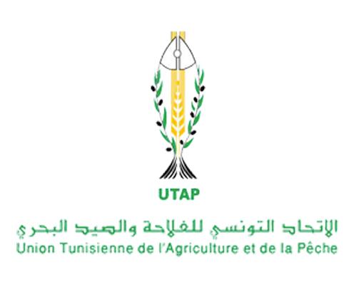 Moez Ben Zaghdene élu nouveau président de l’Union tunisienne de l’agriculture et de la pêche...