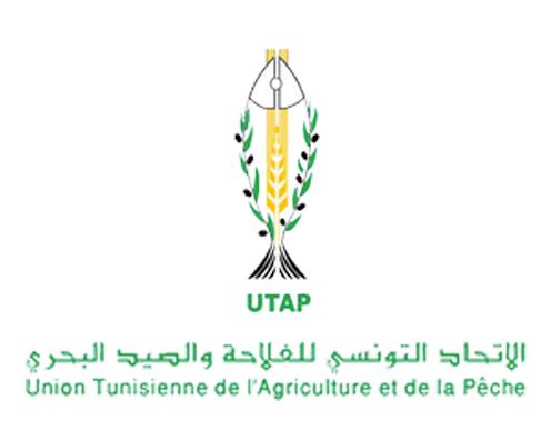 Moez Ben Zaghdene élu nouveau président de l’Union tunisienne de l’agriculture et de la pêche...