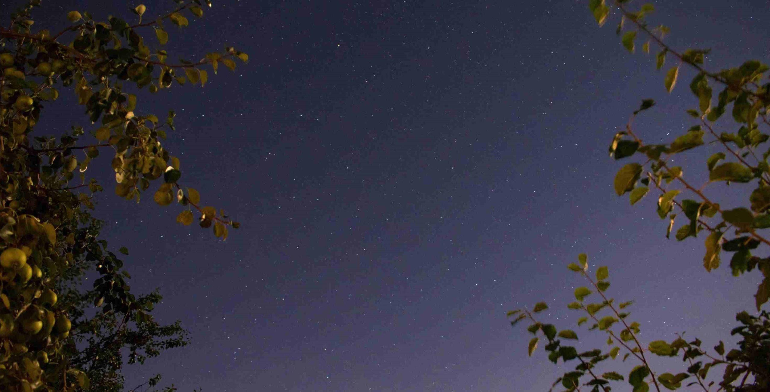 Tunisie – METEO : Ciel clair températures entre 12 et 20°