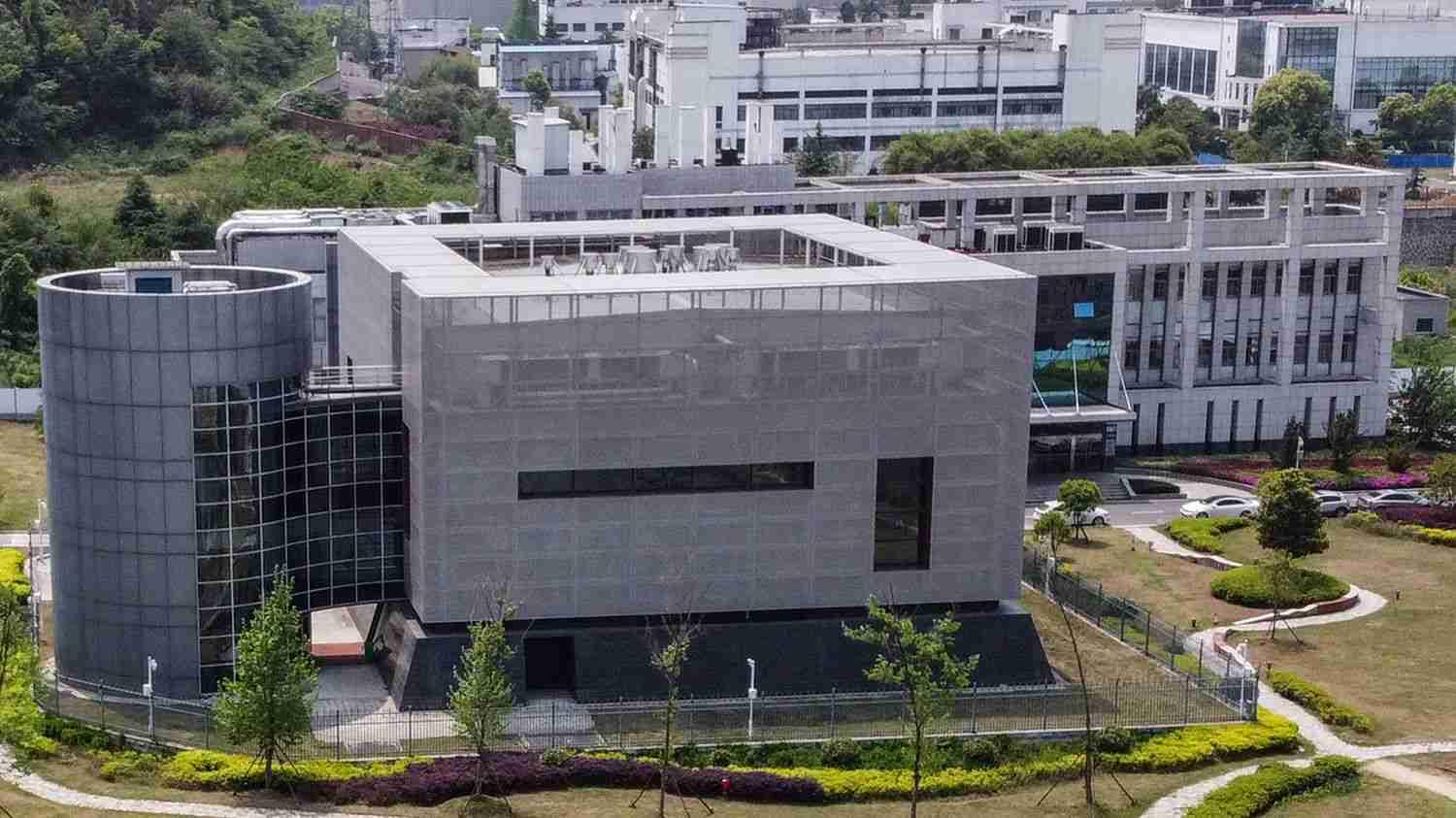 OMS : L’identification de l’origine du virus du Covid 19 est une obligation scientifique et morale