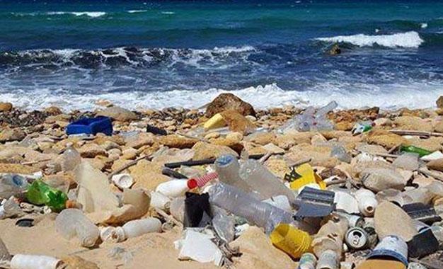 WWF lance un projet d’envergure nationale contre la pollution plastique des plages