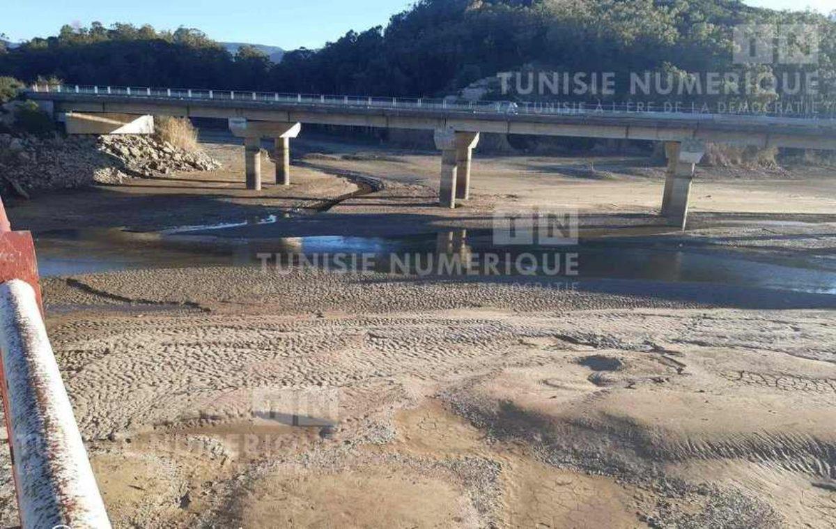 Tunisie-Barrages: Les réserves en eau accusent une baisse de 20,3 %