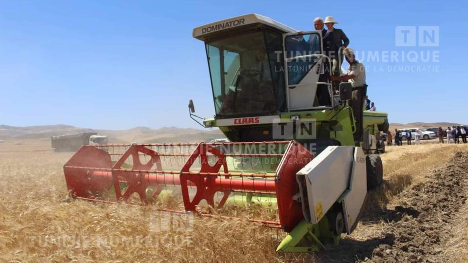 Béja: La saison de la moisson démarre à cette date