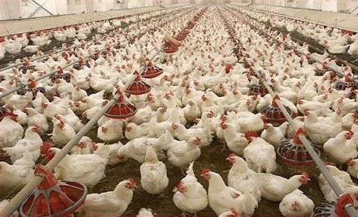 Inédit – Les revenus de six sociétés de l’agroalimentaire avoisinent ceux des banques
