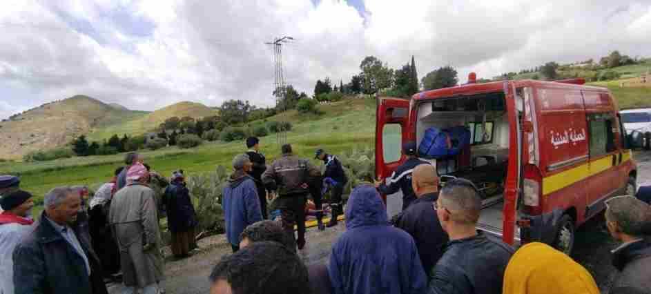 Tunisie – Joumine : Une bergère gravement blessée et ses moutons morts après avoir été renversée par une voiture