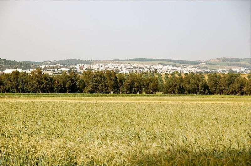 Changement climatique, production agricole et macroéconomie : le cas de la Tunisie