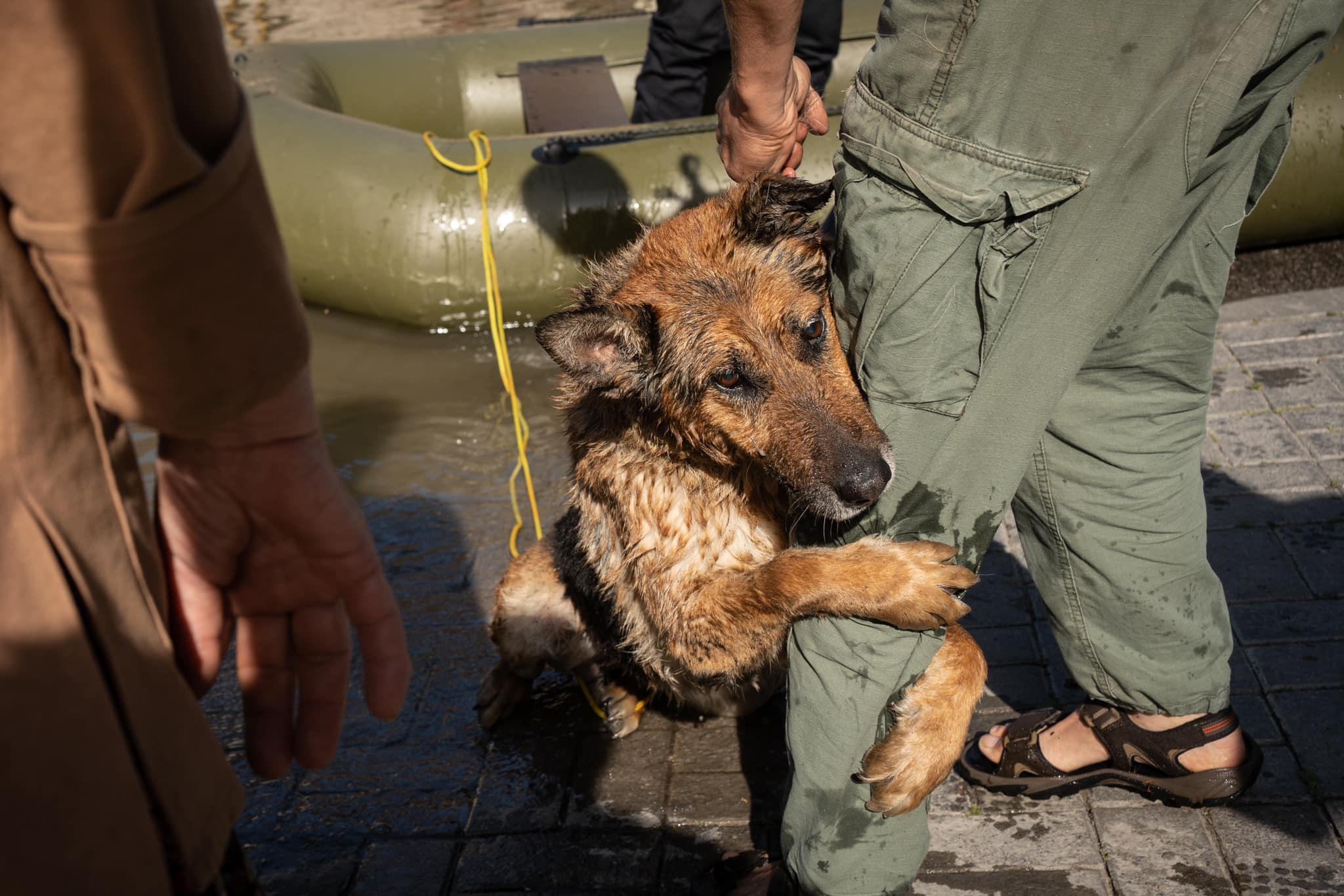 Photos du Jour-Ukraine : Les victimes de l’inhumanité de Poutine…