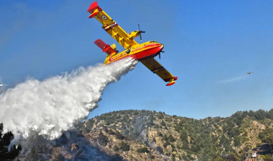 Incendies de Malloula: L’Espagne au chevet de la Tunisie