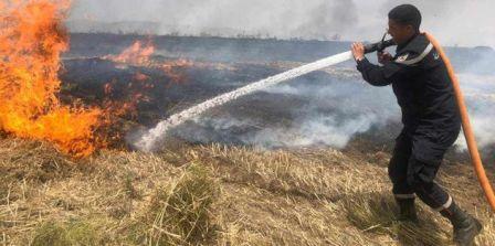 Tunisie – Jendouba : Un incendie détruit  hectares de champs de blé