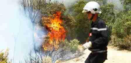 Tunisie – Kairouan : Incendie au Djebel Essarj à Oueslatia