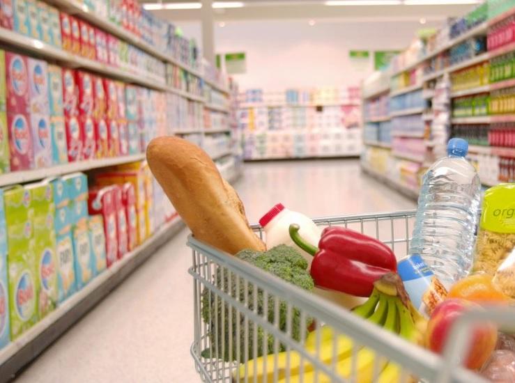 Le déficit de la balance commerciale alimentaire accuse une baisse de 538,8 MDT en juin 2023