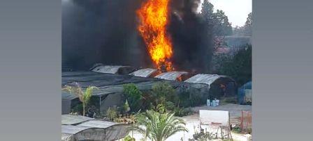 Tunisie – Sousse : Un incendie dévaste une pépinière d’arbres à Chott Meriem