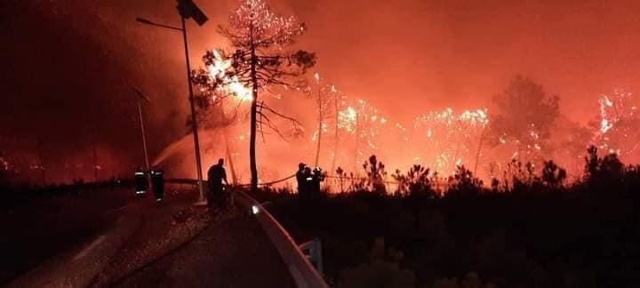 Tunisie – Incendie forêt de Tabarka : Des renforts affluent de partout sur terre et par air