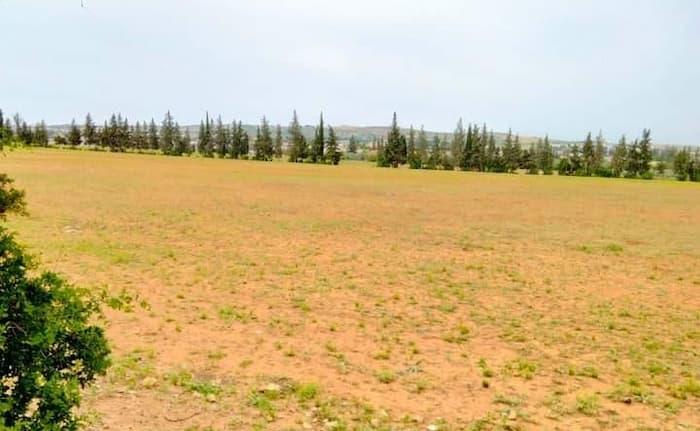 Kasserine: Récupération d’une carrière de pierre d’une superficie de 4,5 ha