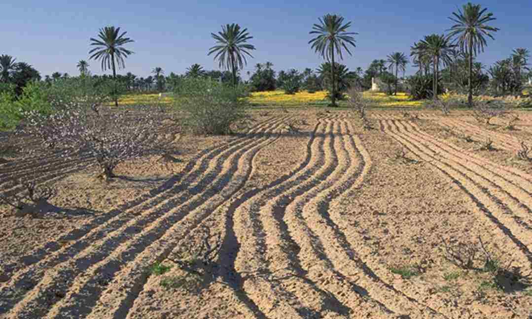 Tunisie – Les coûts d’atténuation du changement climatique estimés à 14,4 milliards de dollars