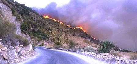 Tunisie – L’Incendie de la forêt de Joumine brûle toujours malgré la pluie