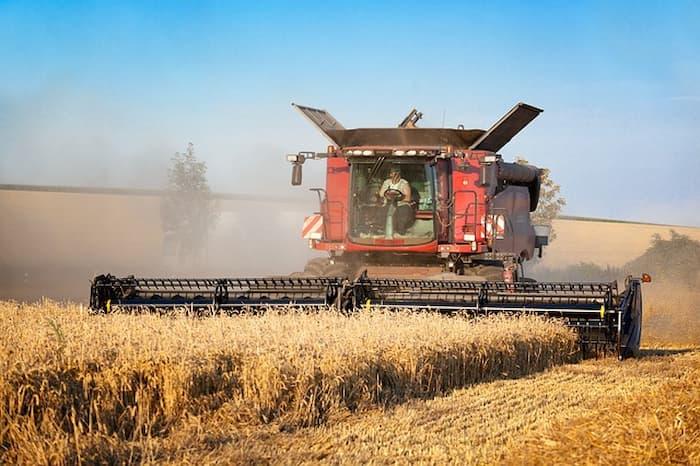 Kasserine: Les superficies céréalières devraient atteindre les 85 mille ha