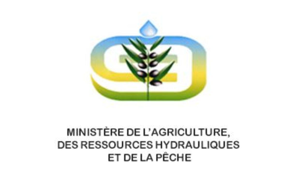 Des poursuites judiciaires contre l’admin d’une page facebook usurpant l’identité du ministre de l’Agriculture